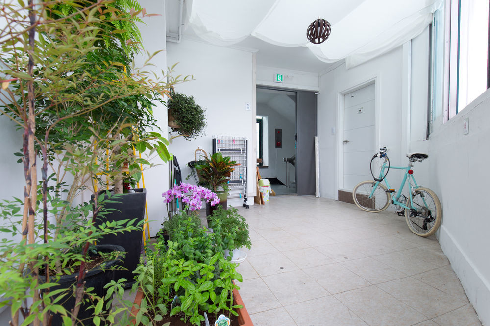 Lian Guesthouse ソウル特別市 エクステリア 写真